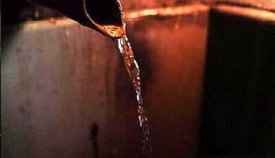 Operation status of the brewing industry from January to August 2021